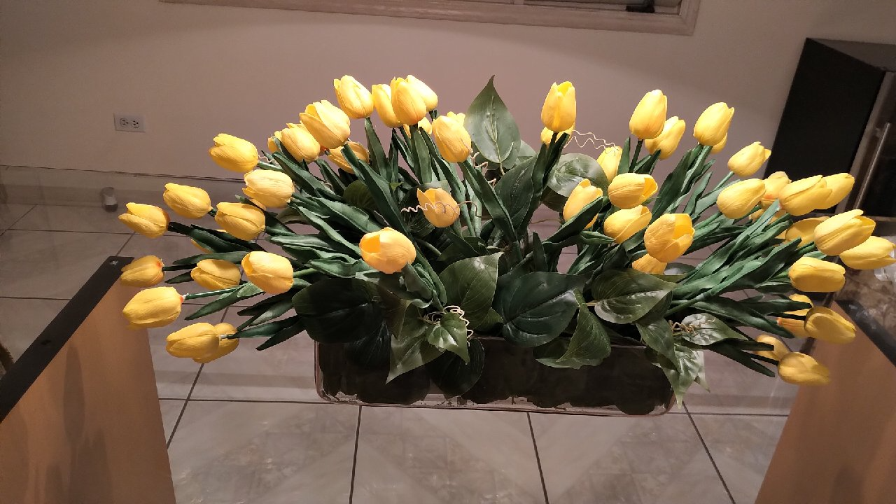 Customer Review Photo