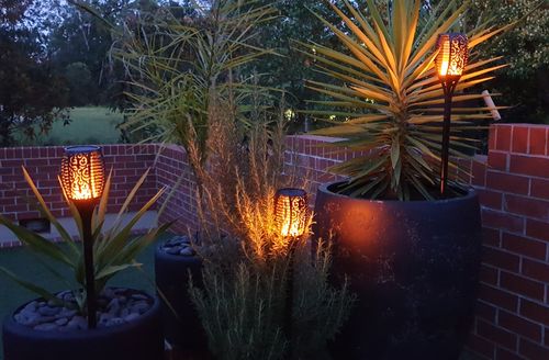 Customer Review Photo