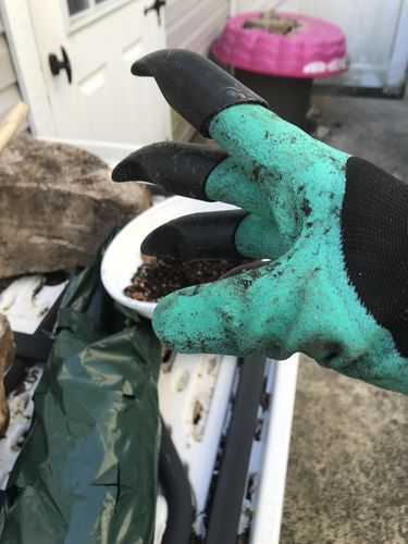 Customer Review Photo