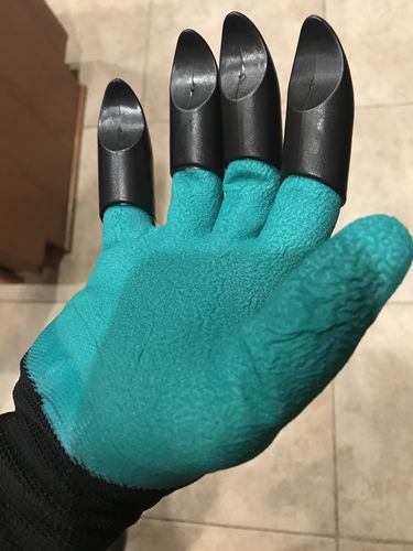 Customer Review Photo