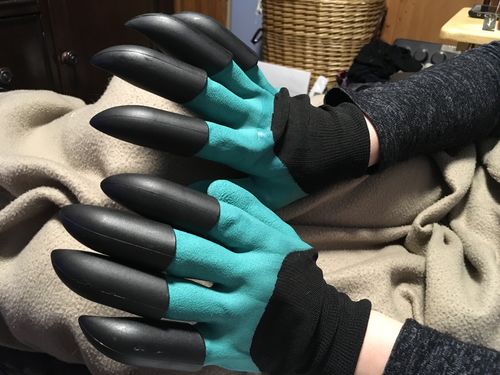 Customer Review Photo