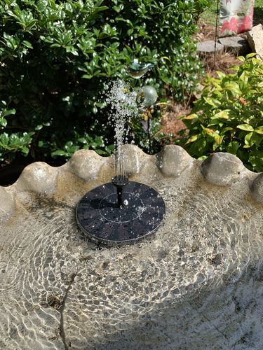 Customer Review Photo