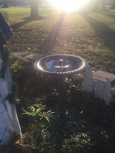 Customer Review Photo