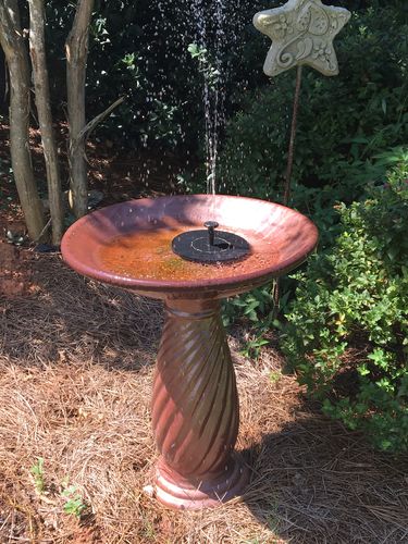 Customer Review Photo