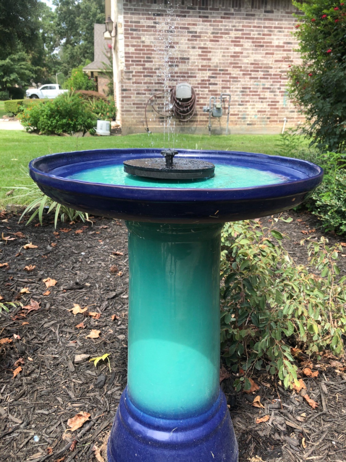 Customer Review Photo