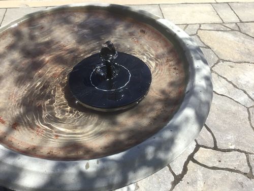 Customer Review Photo