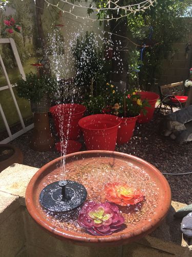 Customer Review Photo