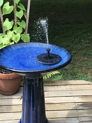 Customer Review Photo