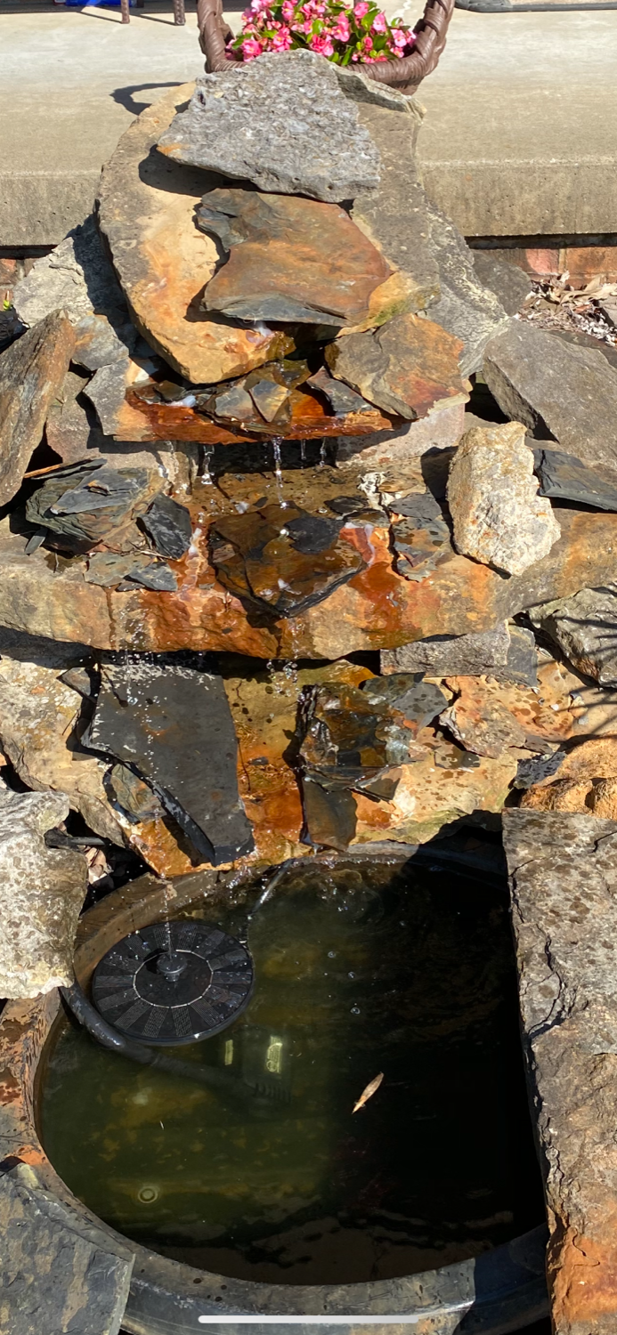 Customer Review Photo