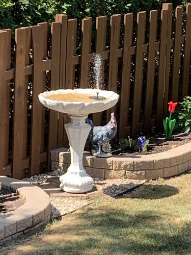 Customer Review Photo