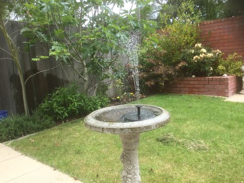 Customer Review Photo