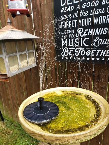 Customer Review Photo