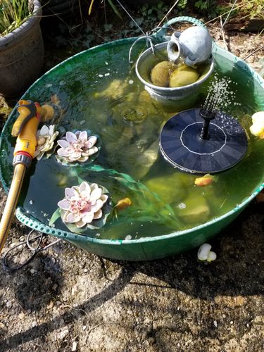 Customer Review Photo