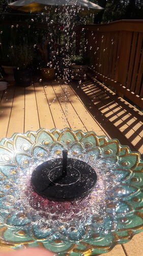 Customer Review Photo