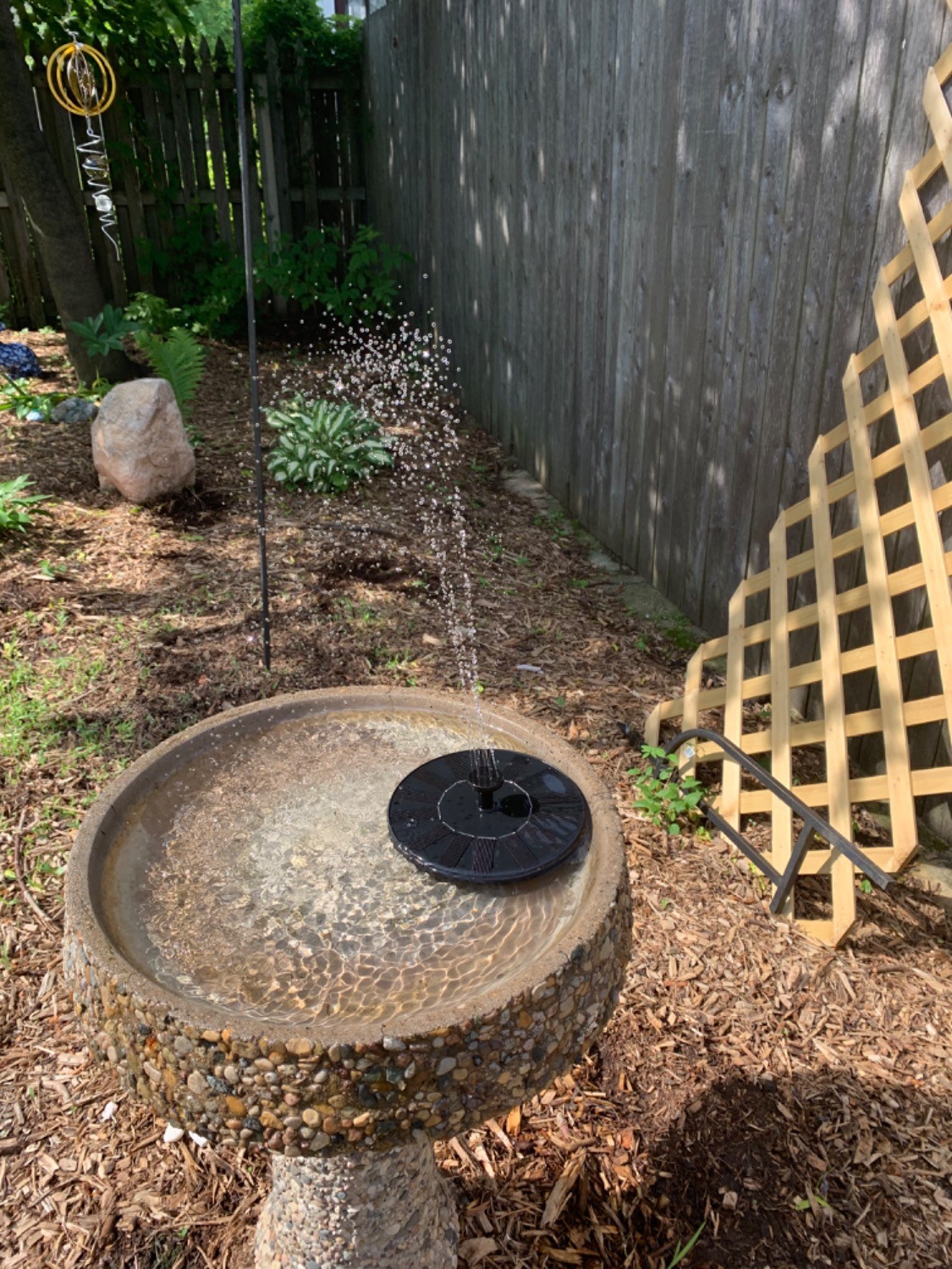 Customer Review Photo