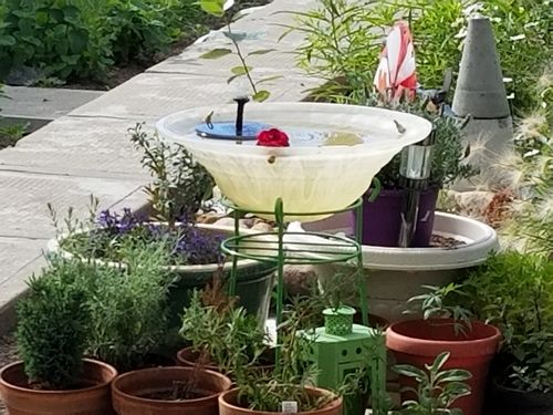 Customer Review Photo