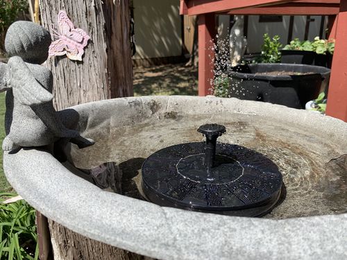 Customer Review Photo