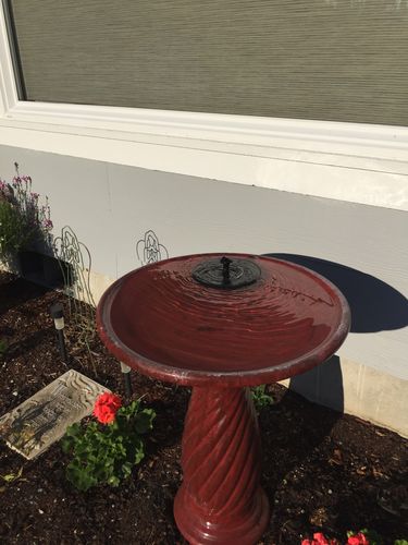 Customer Review Photo