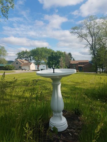 Customer Review Photo