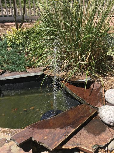 Customer Review Photo