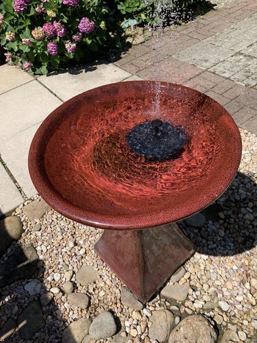 Customer Review Photo