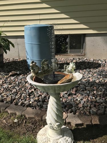 Customer Review Photo