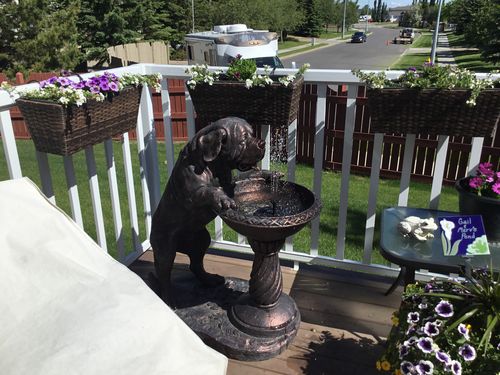 Customer Review Photo