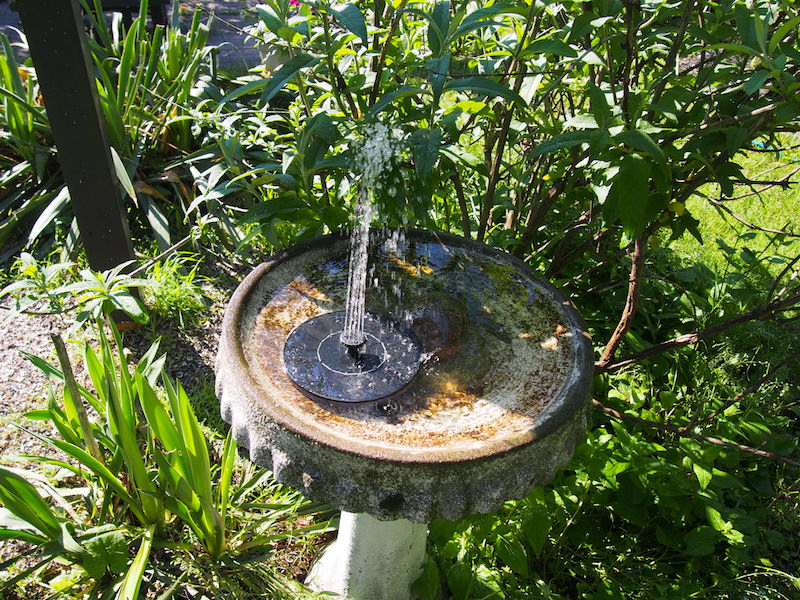 Customer Review Photo