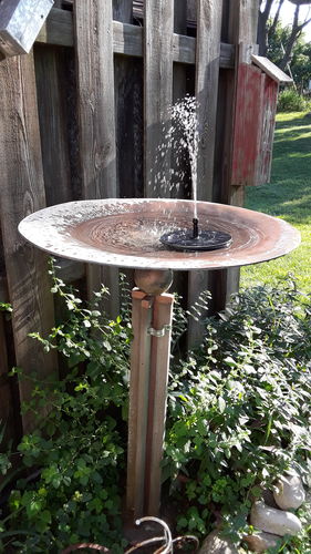 Customer Review Photo