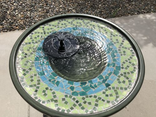 Customer Review Photo