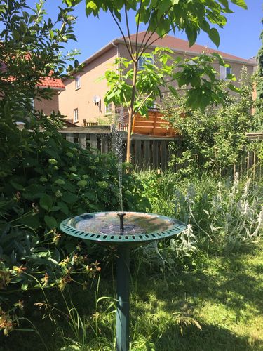 Customer Review Photo