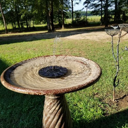 Customer Review Photo