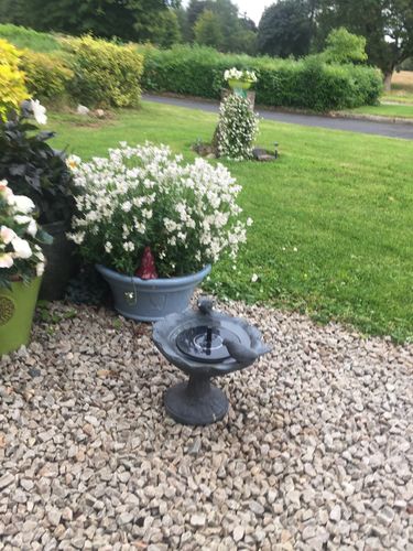 Customer Review Photo