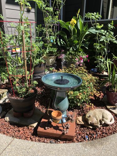 Customer Review Photo