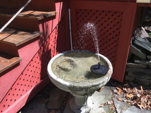 Customer Review Photo