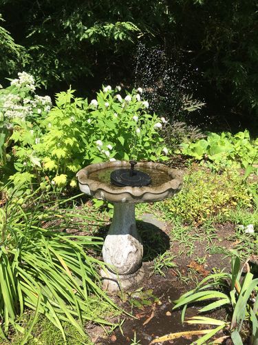 Customer Review Photo