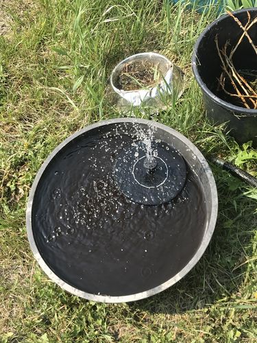 Customer Review Photo