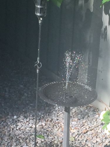 Customer Review Photo