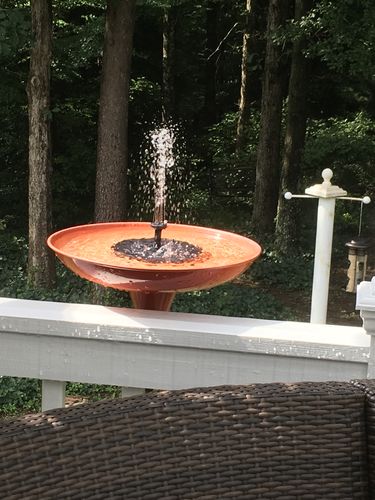 Customer Review Photo