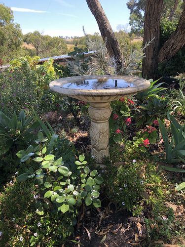 Customer Review Photo