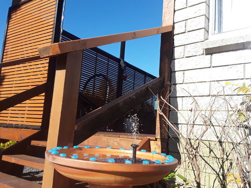 Customer Review Photo