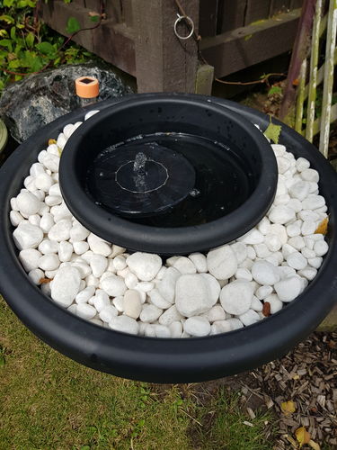 Customer Review Photo