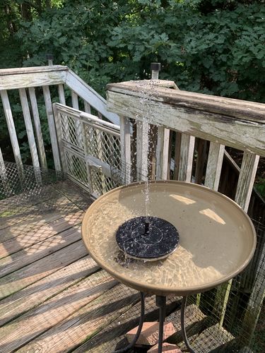 Customer Review Photo