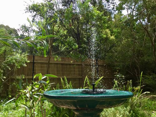 Customer Review Photo