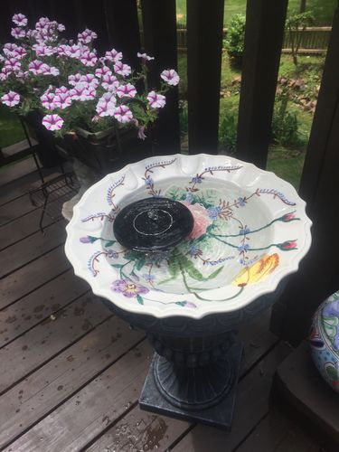 Customer Review Photo