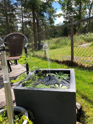 Customer Review Photo