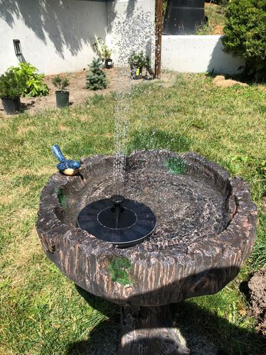 Customer Review Photo