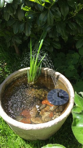 Customer Review Photo