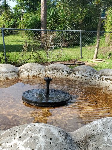 Customer Review Photo