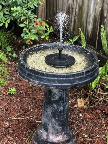 Customer Review Photo